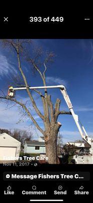 Fishers Tree Service
