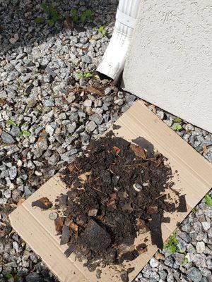 Cg Construction of Jacksonville