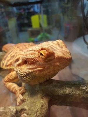 Bacchus Northgate Package Store