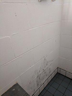 One of the showers in the women's bathroom