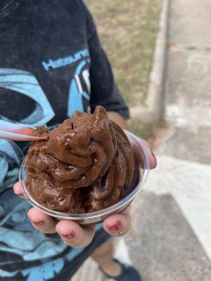 Carousel’s Of The Woodlands