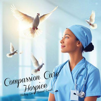 Hospice Nurse