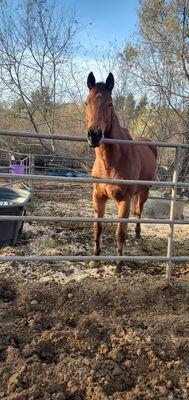 Whispering Meadows Ranch