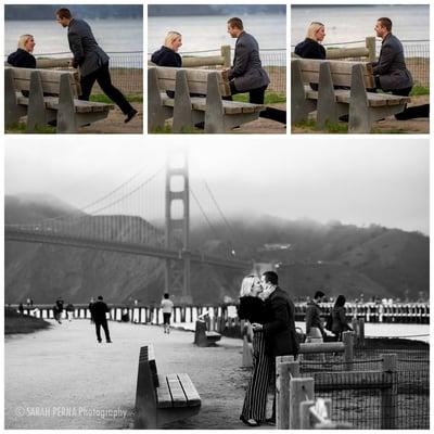 Surprise Proposal at Chrissy Fields in San Francisco CA (3.19.2016)