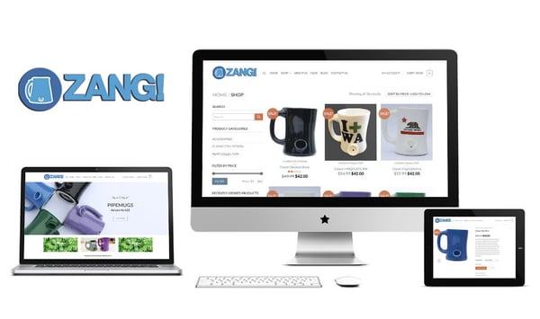 Zang products Website - increased sales from $200 a month to $30,000