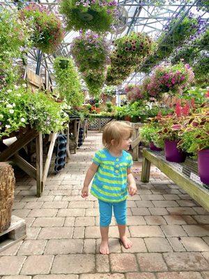 Inside the greenhouse