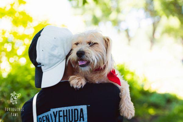 Urban Pet Photography,
Chicago, IL