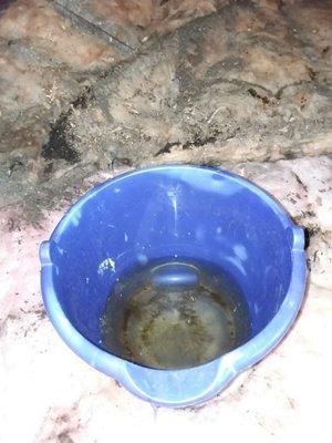 Work done by American Empire General Contracting