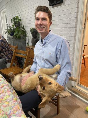 David Evers Dog Services