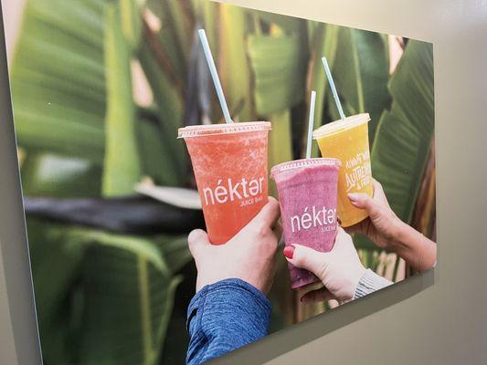Nekter Juice Bar