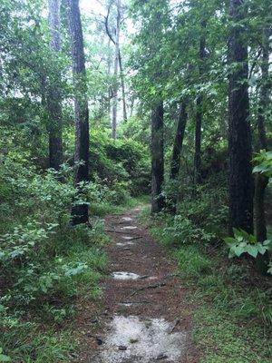 Dwight D. Eisenhower Park