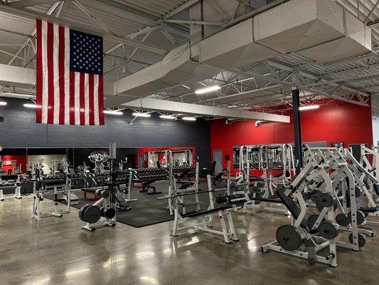 American Muscle Factory