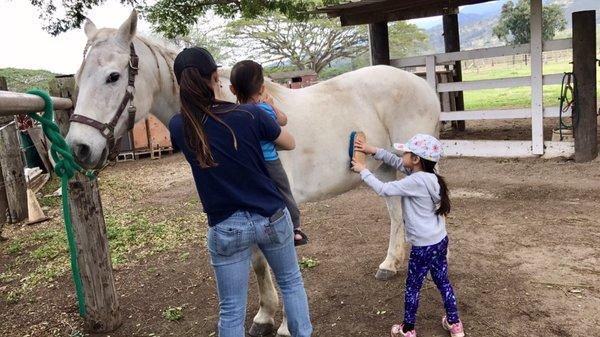 Noah and Leilani brushing Hoku!