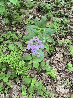 Merriman Valley Apartments & Townhomes