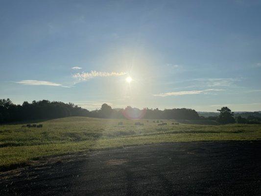 Magestic Beechgrove Battlegrounds