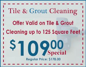 America's Best Carpet & Air Duct Cleaning