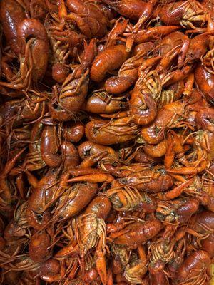 Cooney's Crawfish