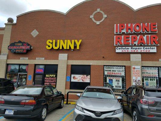 Cellular Repair Center