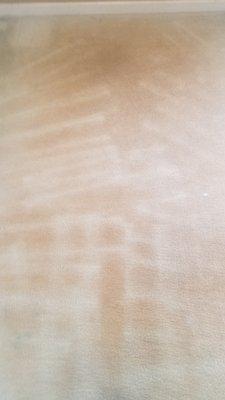 Houndstooth Carpet