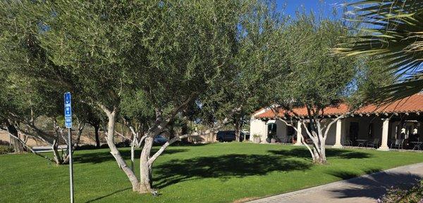 Eye Surgery Center of The Desert