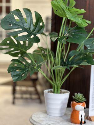 Main Street Medical Associates