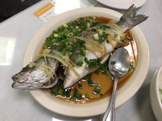 Bronzini steamed fish