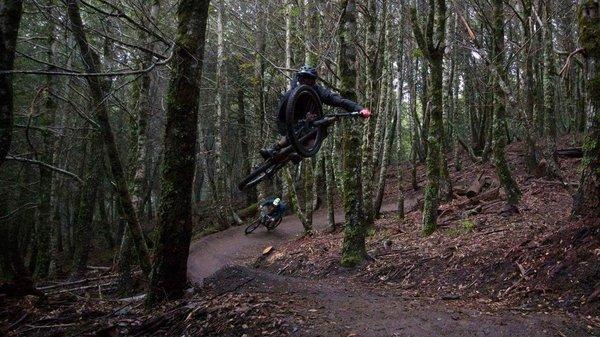 Lacks Creek Management Area