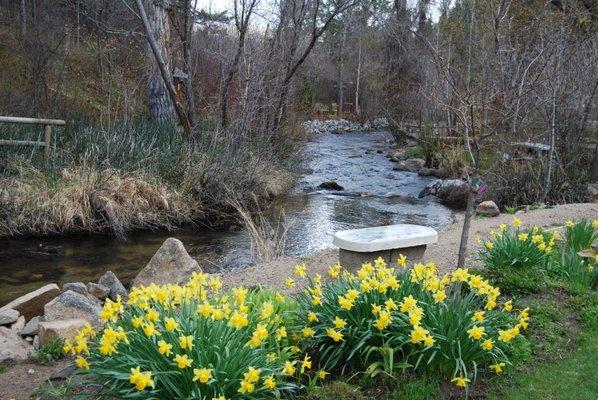 Spring in the gardens by Prickly Pear Creek.