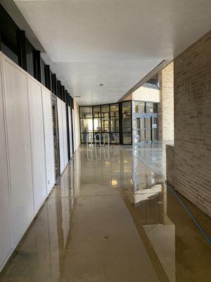 Champion Power Washing