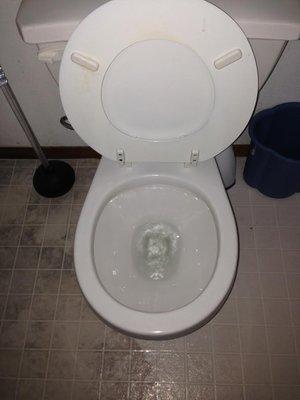 Elite Cleaning of Washington