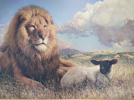 Comprehensive Behavioral Healthcare