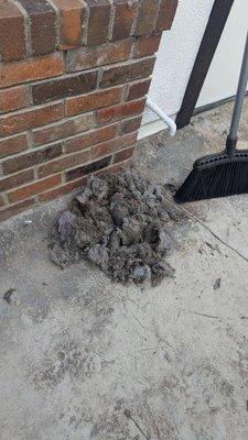 Capistrano Beach Steam Clean