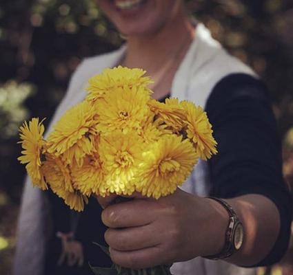 Calendula is medicine in more ways than one!