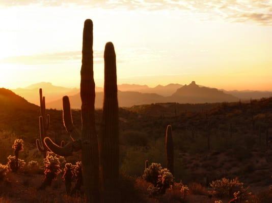 Donald Barar - Coldwell Banker Residential Brokerage