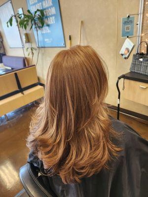 Supercuts
