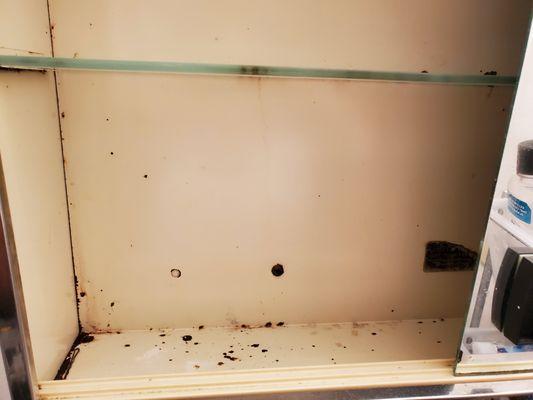 Rusted bathroom cabinet.