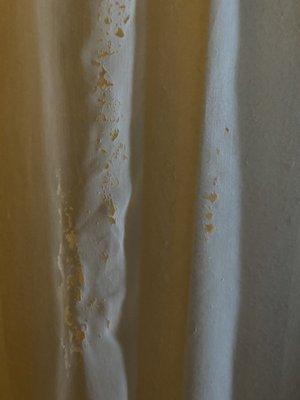 Clarion Hotel & Conference Center Leesburg