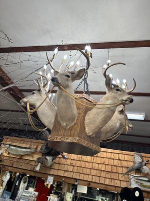 Guntzviller's Spirit of the Woods