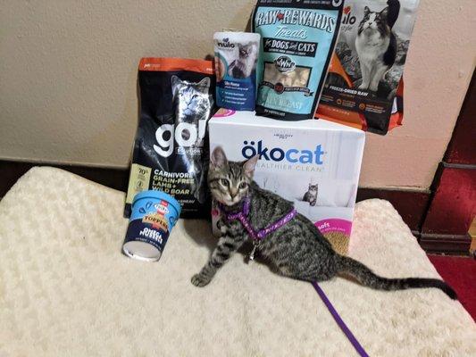 Adoption gifts from Mini Pet Mart. If you adopt from the shelter see if your fur baby qualifies!