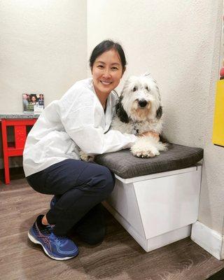 Brookhurst Pediatric Dentistry and Orthodontics