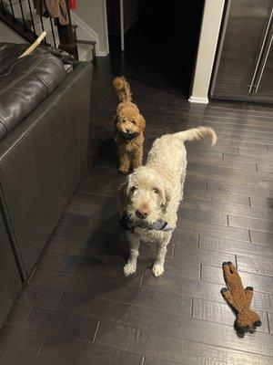 Meridian Animal Hospital