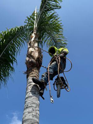 JL Landscape Design & Construction