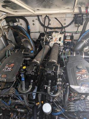 Backyard mobile Marine