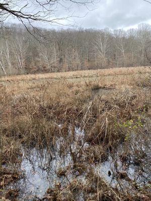 Yellowwood State Forest