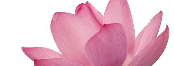 Fu Acupucture and Herb