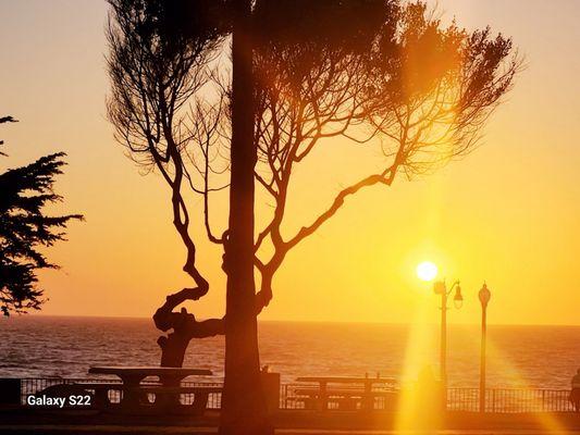 Redondo Beach Elks Lodge - 1378