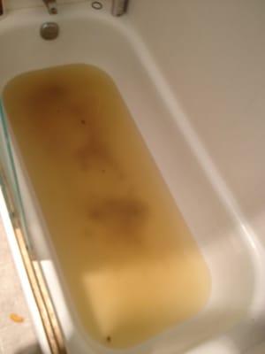 2nd time this has happend