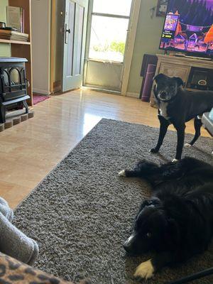 Rebecca’s Cleaning Services