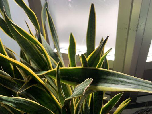 Waiting room lounge life ty Abby & st medicine