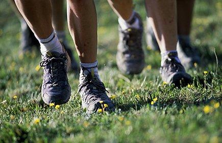 David H Warby DPM PC